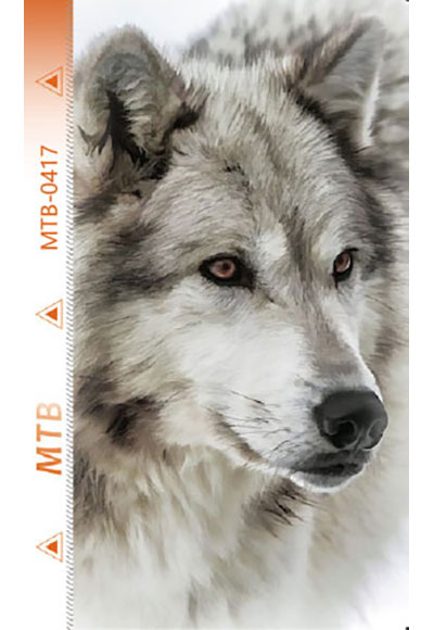 MTB-B0417